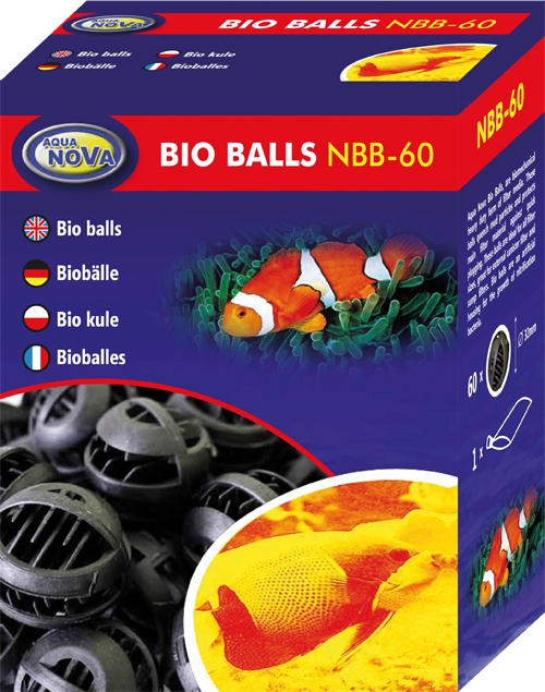 NBB-60